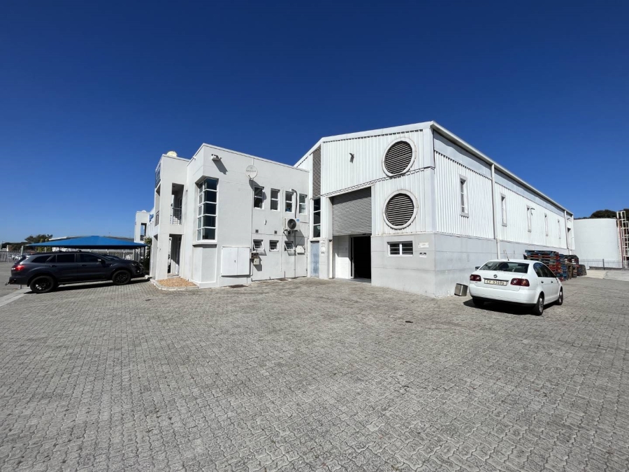 To Let commercial Property for Rent in Montague Gardens Western Cape